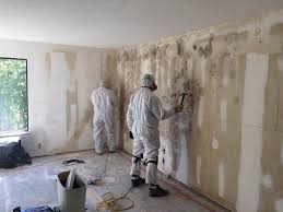 Mold Documentation for Insurance Claims in Troy, NY